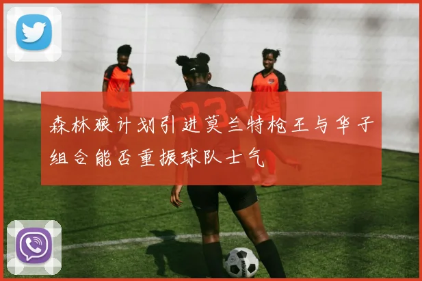 森林狼计划引进莫兰特枪王与华子组合能否重振球队士气