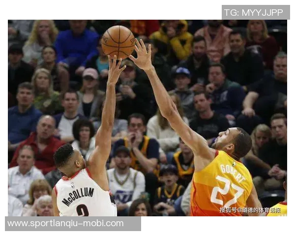 冷知识揭秘：独行侠四位球员的双胞胎兄弟姐妹关系分析